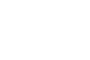 Digital, Data and Technology